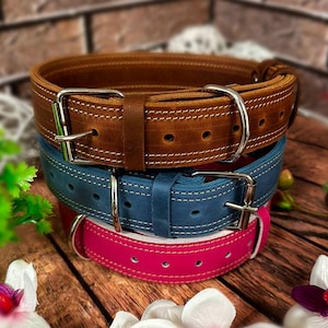 Gepersonaliseerde leren hondenhalsband, gegraveerd naamplaatje