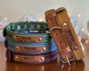 Personalized Leather Dog Collar with Engraved Name Plate