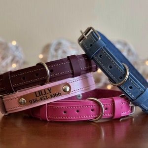 Dog Collar, Leather Dog Collar, Personalized Dog Collar, Engraved Leather Dog Collars, Personalized leather dog collar, Customized collar