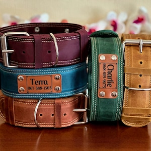 Collar de cuero resistente, collar de perro personalizado, collar de cuero para perro, collares para perro grabados, collar de perro personalizado, collar de cuero resistente
