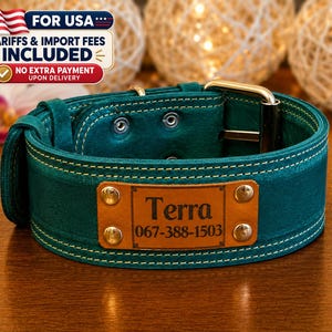 Op de afbeelding: Een blauwgroene leren hondenhalsband met een rechthoekig, lichtbruin leren naamplaatje dat aan de voorzijde is vastgeklonken. Het plaatje is gegraveerd met de naam Terra en het telefoonnummer 067-388-1503. De halsband heeft een metalen gesp.