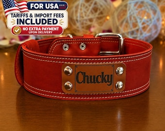 Personalized Leather Dog Collar, Engraved Name Plate, Large Breed