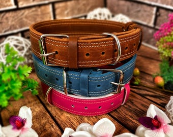Wide Leather Dog Collar, Solid D Ring, Personalized Name Plate, Sturdy