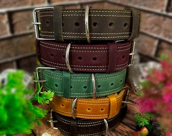 May include: Stack of five leather dog collars in different colors, including brown, burgundy, green, yellow, and black. Each collar has a silver buckle and two silver D-rings.