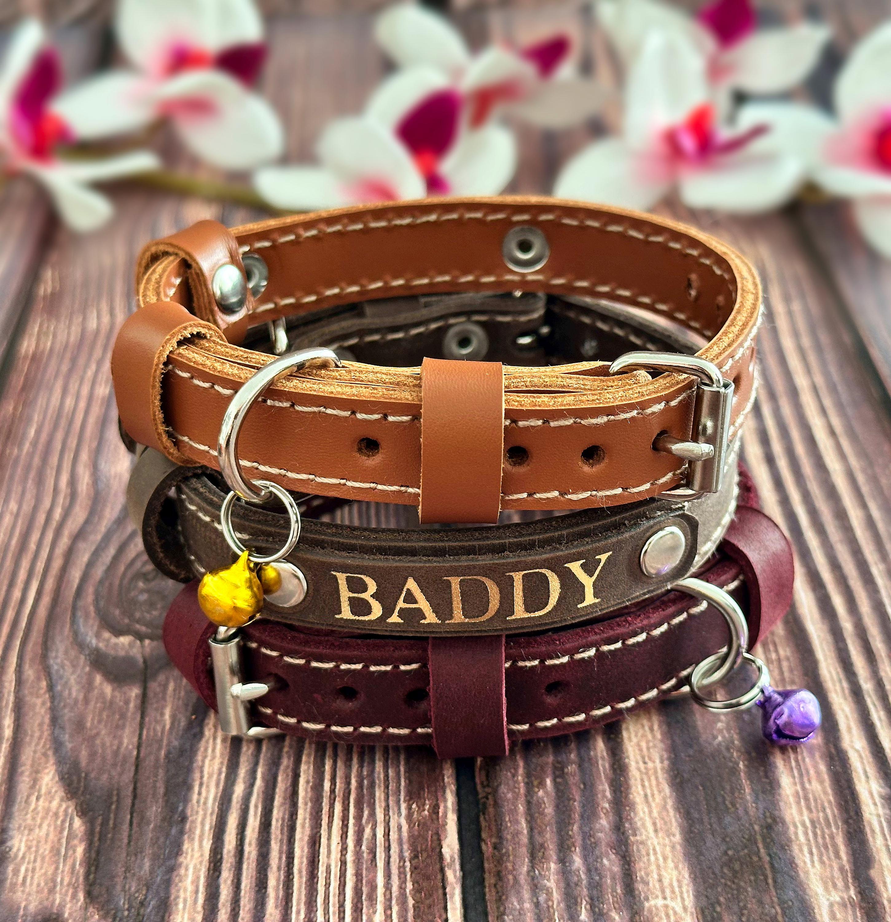Personalisiertes Leder Katzenhalsband mit Glocke und Namensschild | Niedliches Katzenhalsband | Personalisiertes Katzengeschenk Katzen Accessoires für Kitten