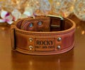 Heavy-Duty Leather Dog Collar, Personalized Engraved Custom Fit product logo