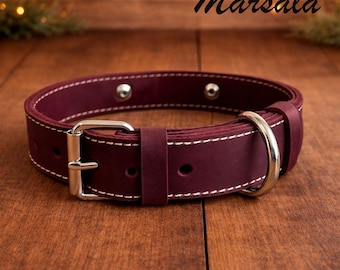 Personalized Leather Dog Collar, Engraved Name Plate, Double Layer Pet Collar