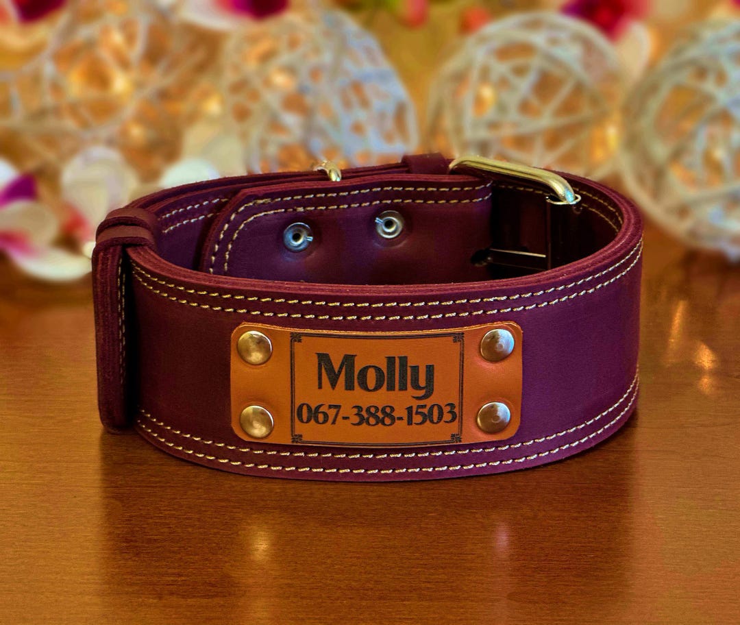 Personalized Leather Dog Collar, Engraved Custom Pet ID, 2-inch Wide - Etsy
