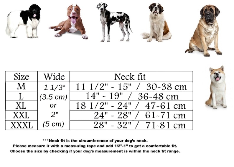 Heavy-duty leather collar, Personalized Dog Collar, Leather Dog Collar, Engraved Dog Collars, Custom Dog Collar, Rugged leather collar