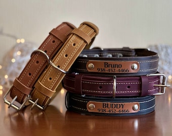 Collar de cuero grabado para cachorros: Regalo personalizado para mascotas