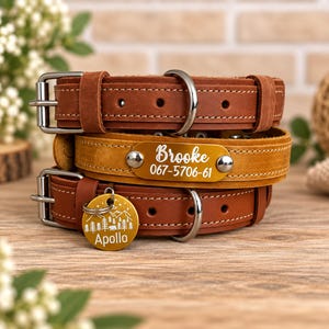 Collier fin en cuir pour chien : Collier fin personnalisé avec gravure