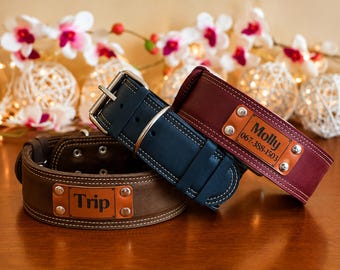 Wide Leather Dog Collar, Personalized Name Plate, Solid D Ring