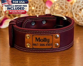 Wide Leather Dog Collar with Engraved Name Plate, Thick Leather