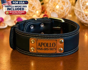 Personalized Leather Dog Collar – Engraved Nameplate, Large Breeds
