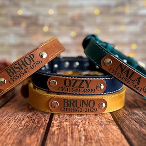 Personalized leather dog collar, Engraved leather dog collar, Leather dog collar with personalization, Custom dog collar with name plate