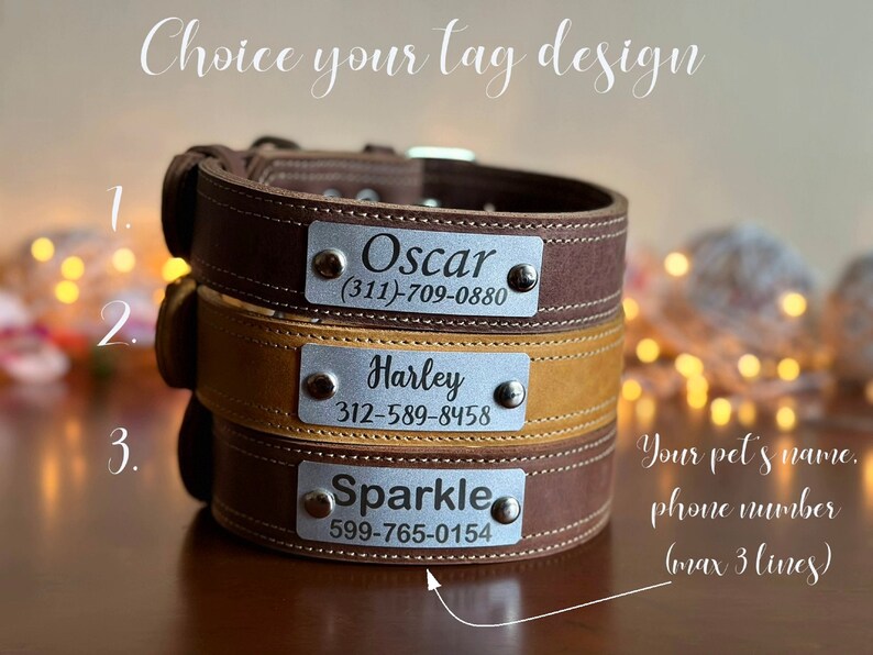 Customized Leather Dog Collar With Personalization Leather Etsy