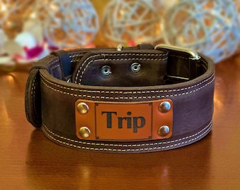 Personalized Leather Dog Collar, Engraved Name Plate, Large Breed