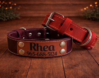 Personalized Leather Dog Collar with Name Plate: Custom Pet Collar