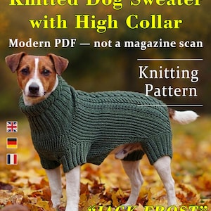 Könnte beinhalten: Ein Jack Russell Terrier trägt einen dunkelgrünen, gestrickten Hundepullover mit hohem Kragen. Das Bild enthält den Text: Knitted Dog Sweater with High Collar, Modern PDF — not a magazine scan, Knitting Pattern und JACK FROST.