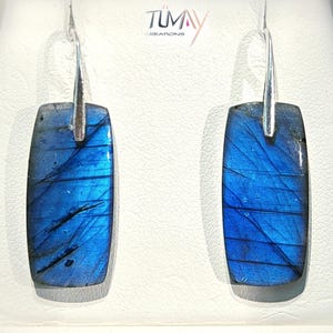May include: A pair of rectangular earrings with a vibrant blue and black pattern. The earrings have a silver hook and are set against a white background. The earrings are a striking piece of jewelry.