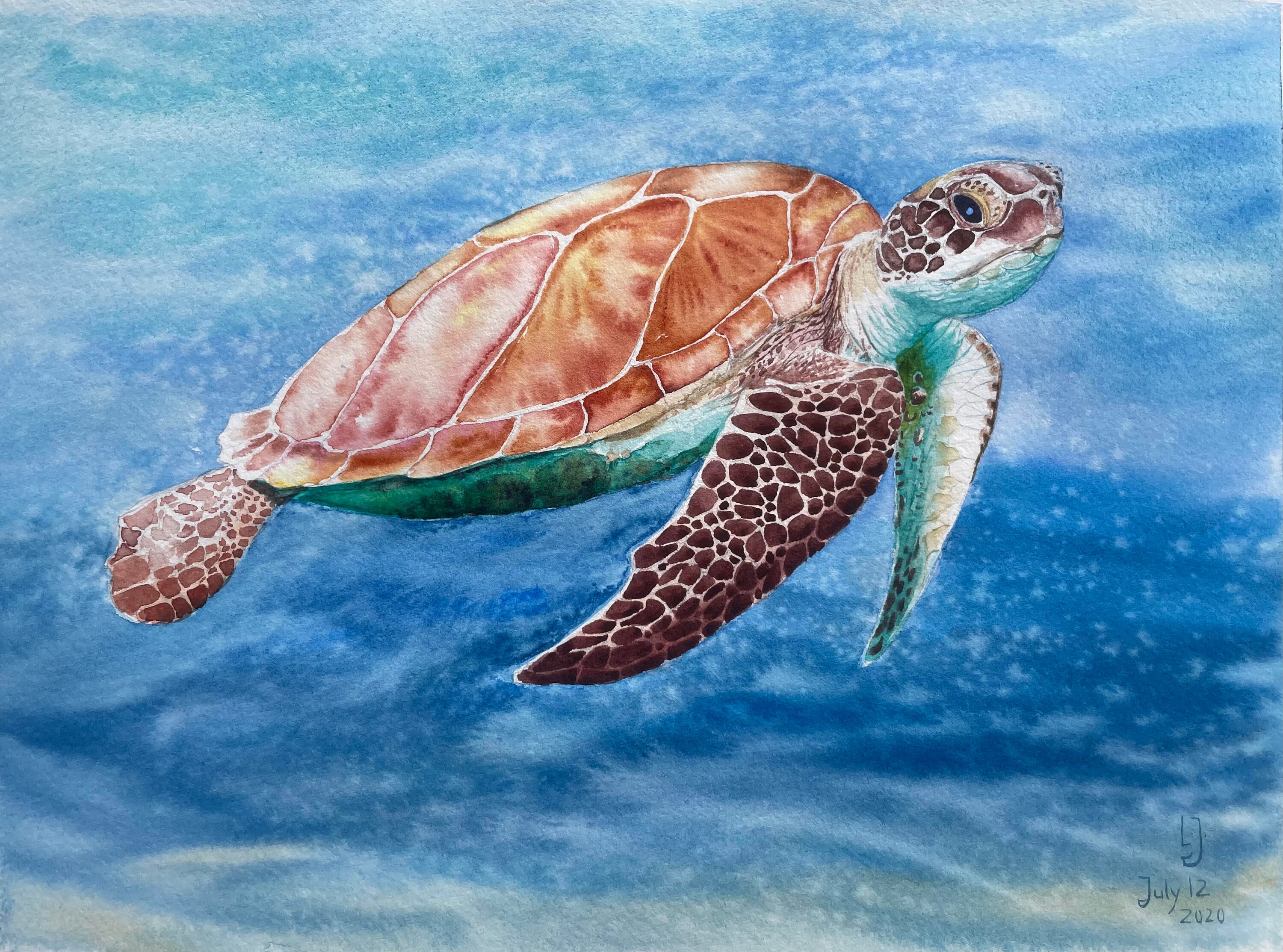 5D Diamond Painting Two Surfing Turtles Kit