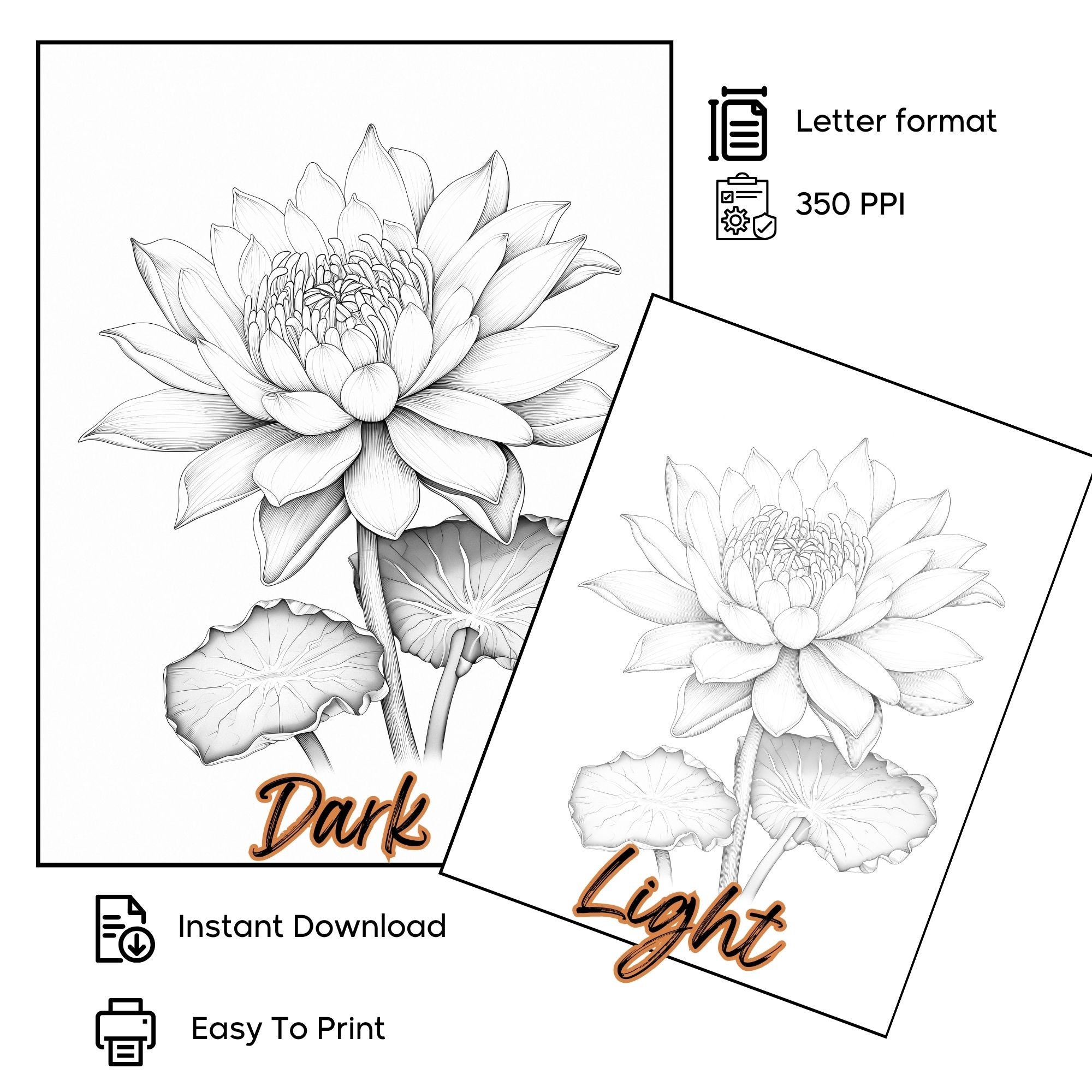 印刷する蘭の花 ぬりえ - 塗り絵, image size:2000x2000