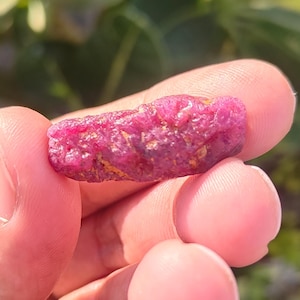 May include: A raw ruby gemstone, exhibiting a deep pinkish-red colour. The uncut mineral has a textured surface. The gemstone is held in a hand against a blurred green backdrop.