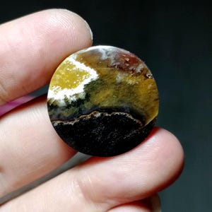 Opalized petrified wood*cabochon scenic