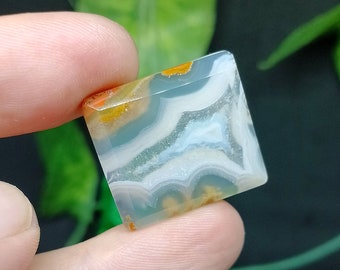 stunning slices of moss agate