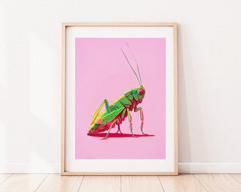 Pink Grasshopper Retro Insect Art Retro Poster | Entomology Wall Art | Nature Lover Gift | Vintage Bug Illustration | Boho Chic Decor