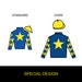 Printable Preakness Betting Game for Preakness Party Derby Horse Racing ...