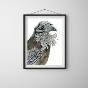 Stampa "Corvo Canario", Illustrazione, Disegno, Acquerello, Stampa, Arte, Arte Animale, Uccelli, Volatili, Rapaci, Arredamento, Home Decor
