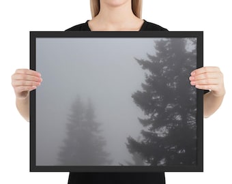 Zwart-wit ingelijste poster bosfotografie: pijnbomen in mist