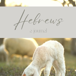 May include: A white lamb grazes in a field with a blurred background of other sheep and a sunset. The text "Hebrews a journal" is displayed on a gray background.