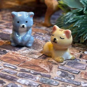 Two Miniature French Feve Kittens