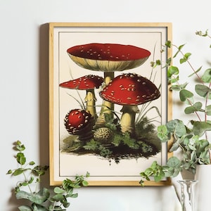 Arte de setas imprimible / Impresión de arte de setas / Descarga digital / Cartel de setas / Decoración de pared de setas / Impresión de arte Cottagecore / Arte de la naturaleza
