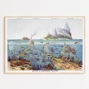 Gráfico de vida marina Arte de pared imprimible / Descarga digital / Póster de mapa oceánico / Póster de vida marina / Impresiones de animales oceánicos / Impresiones de animales marinos