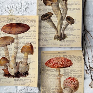 Printable | Mushroom Dictionary Print Set| Set of 3 Prints | Mushroom Decor | Cottagecore Print | Botanical Print | Vintage Mushroom Print |