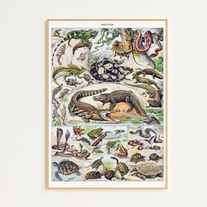 Cartel de reptil antiguo Arte imprimible / Descarga digital / Cartel de Adolphe Millot / Cartel de arte de reptil / Cartel de animal vintage / Arte de serpiente