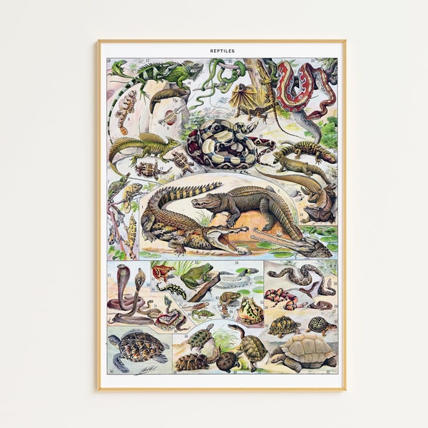 Antique Reptile Poster Printable Art | Digital Download | Adolphe Millot Poster | Reptile Art Poster | Vintage Animal Poster | Snake Art