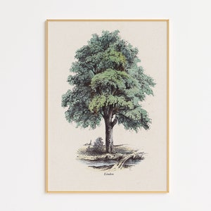 Vintage Tree Illustration Printable | Digital Print | Farmhouse Wall Decor | Vintage Illustration | Digital Printable | Digital Tree Print