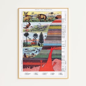 Geologie en paleentologie poster afdrukbaar | Digitale download | Aardrijkskundekaart | Aardrijkskundeposter | Minerale kunst | Rotsidentificatiekaart