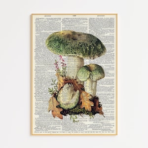Green Dictionary Mushroom Art | Digital Print | Botanical Dictionary Art Print | Mushroom Decor | Mushrooms Wall Art | Cottagecore | Vintage