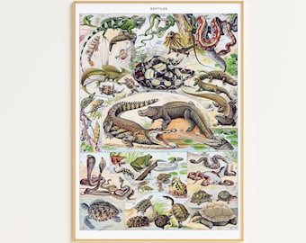 Antique Reptile Poster Printable Art | Digital Download | Adolphe Millot Poster | Reptile Art Poster | Vintage Animal Poster | Snake Art
