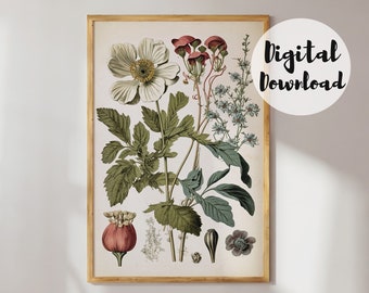 Wildflower Printable Wall Art, Vintage Flower Print, Cottagecore Decor, Botanical Print, Flower Decor Print, Vintage Floral Print, JPEG
