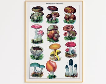 Printable Mushroom Poster | Vintage Mushroom Art Print | Digital Download | Mushroom Wall Decor |  | Botanical Wall Decor  |  Cottagecore