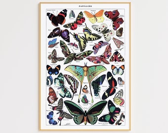 Butterfly Wall Art, Vintage Butterfly Print, Printable Wall Art, Digital Download, Butterfly Wall Decor, Butterfly Poster, Nursery Wall Art