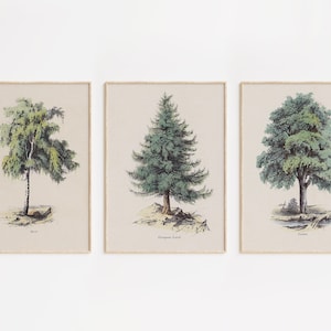Set of 3 Vintage Tree Illustration Printable Art | Botanical Prints | Rustic Botanical Wall Art | Farmhouse Decor | Printable Wall Decor