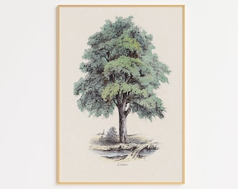 Vintage Tree Illustration Printable | Digital Print | Farmhouse Wall Decor | Vintage Illustration | Digital Printable | Digital Tree Print