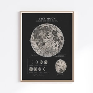 Moon Phases Printable | Vintage Moon Poster | Moon Phases Print |  Lunar Phases | Moon Wall Decor | Digital Download | Full Moon Print